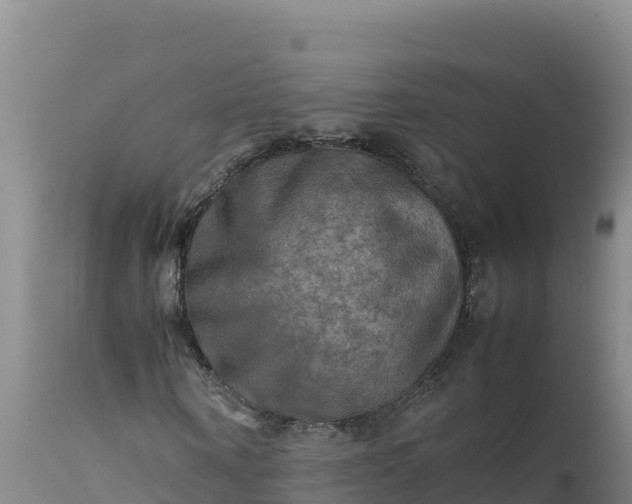 X0000112400866200908281748