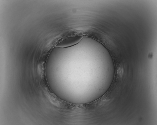 X0000112400868200908281748