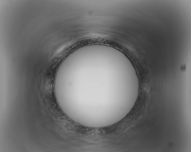 X0000112400869200908281748