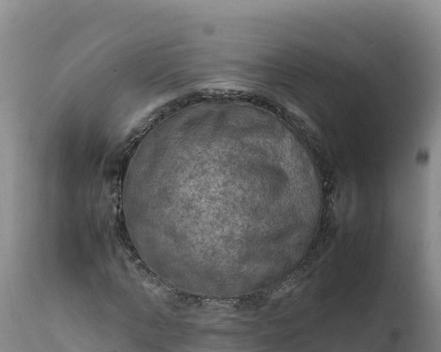 X0000112400870200908281748