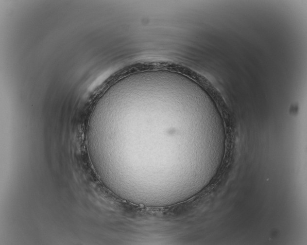 X0000112400871200908281748