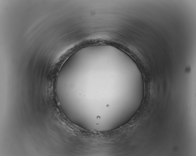 X0000112400872200908281748