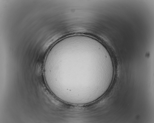 X0000112400873200908281748