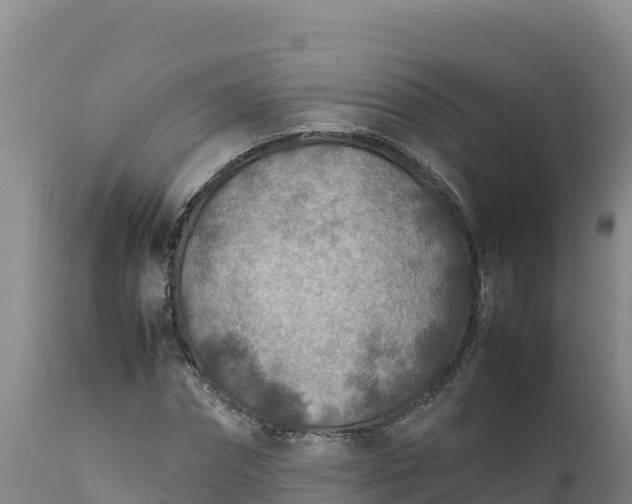 X0000112400874200908281748