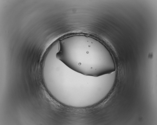 X0000112400876200908281748