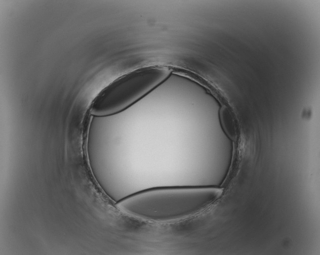 X0000112400877200908281748