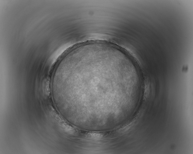 X0000112400878200908281748