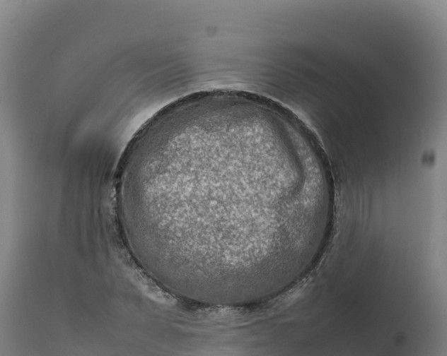 X0000112400879200908281748