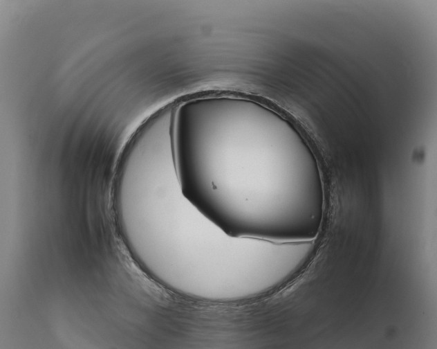 X0000112400880200908281748