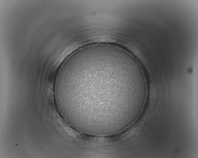 X0000112400881200908281748