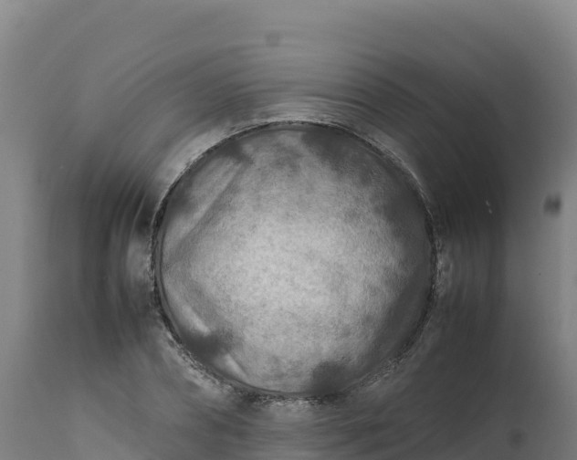 X0000112400882200908281748
