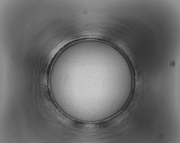 X0000112400883200908281748