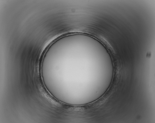 X0000112400884200908281748