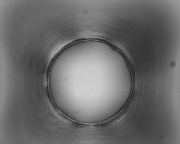 X0000112400885200908281748