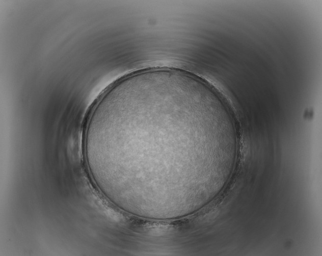X0000112400886200908281748