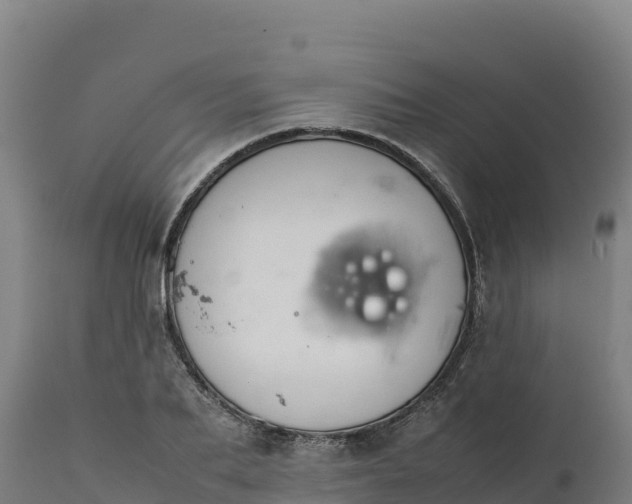 X0000112400887200908281748