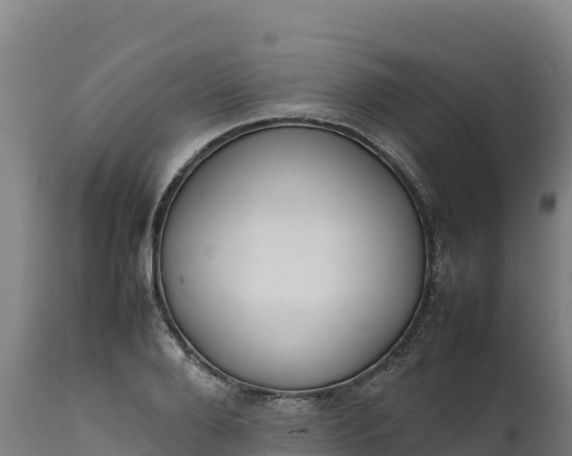 X0000112400888200908281748