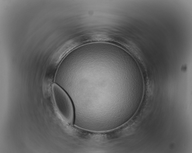 X0000112400889200908281748
