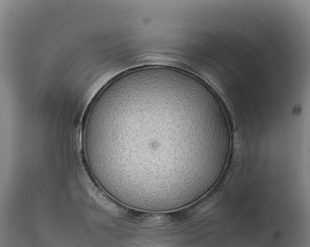 X0000112400891200908281748