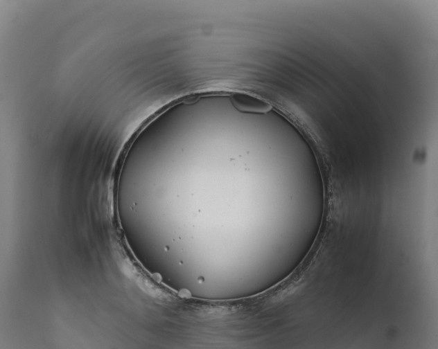 X0000112400892200908281748