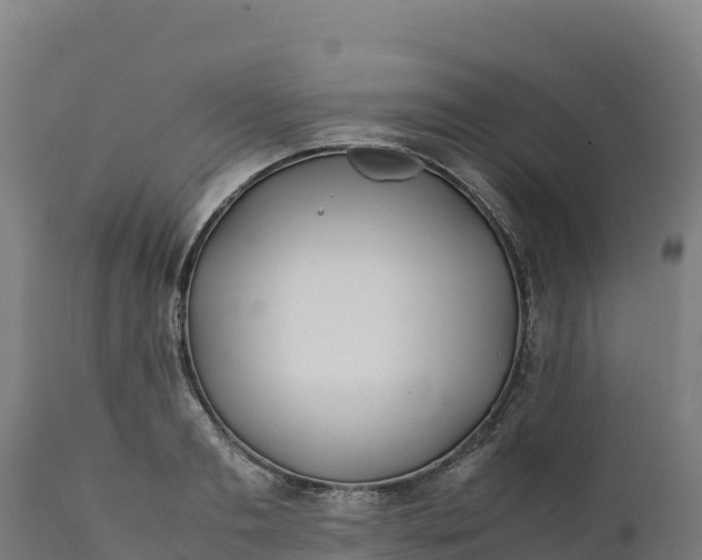 X0000112400893200908281748
