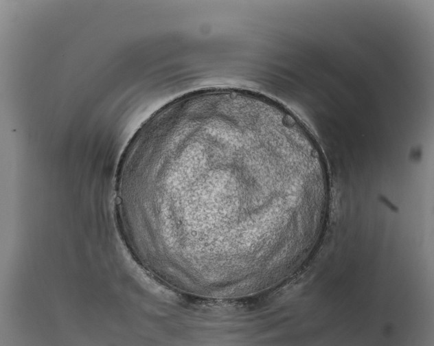 X0000112400895200908281748