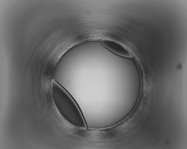X0000112400897200908281748