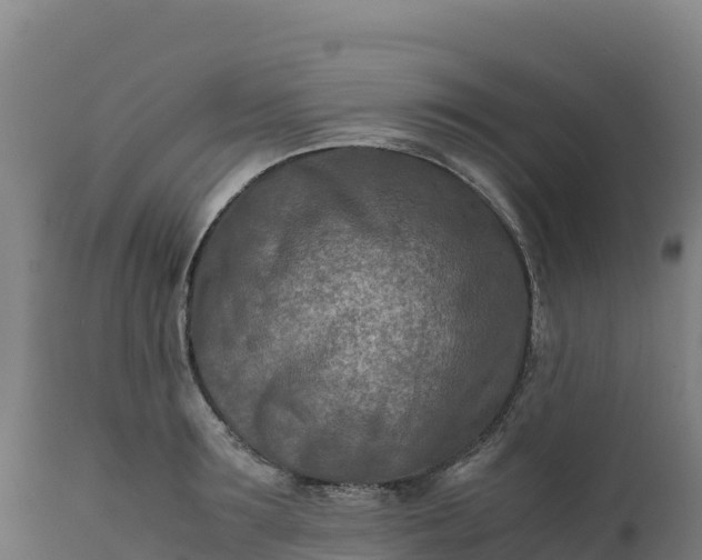 X0000112400899200908281748