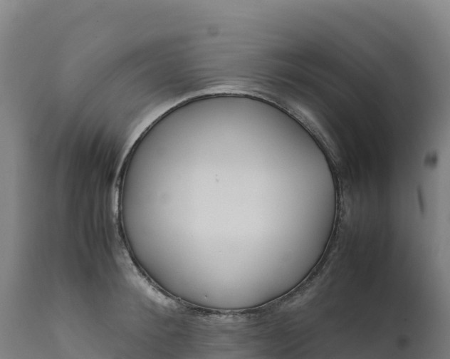 X0000112400900200908281748