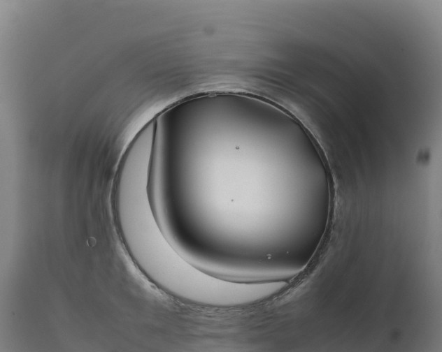 X0000112400901200908281747
