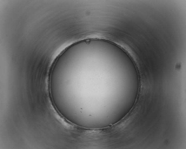 X0000112400902200908281747