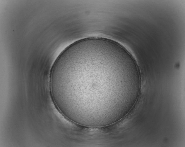 X0000112400903200908281747