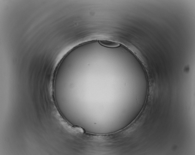 X0000112400904200908281747
