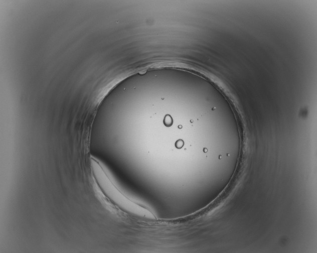 X0000112400905200908281747