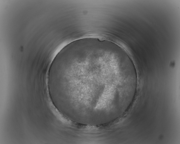 X0000112400907200908281747