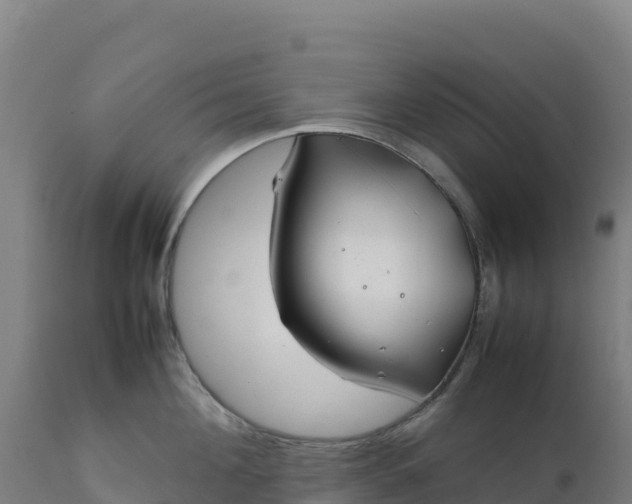 X0000112400908200908281747