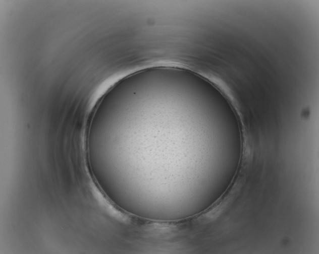 X0000112400910200908281747