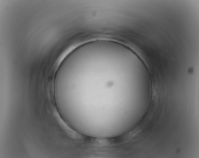 X0000112400911200908281747
