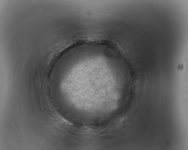 X0000112400913200908281746