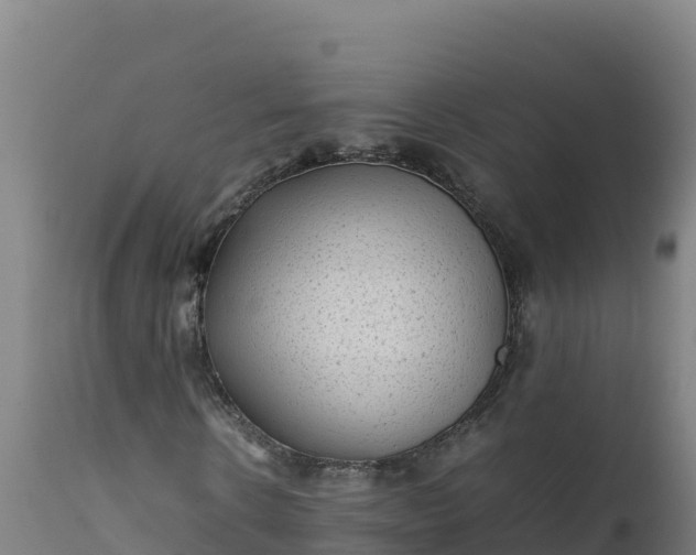 X0000112400914200908281746
