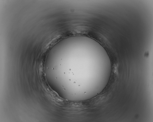 X0000112400915200908281746