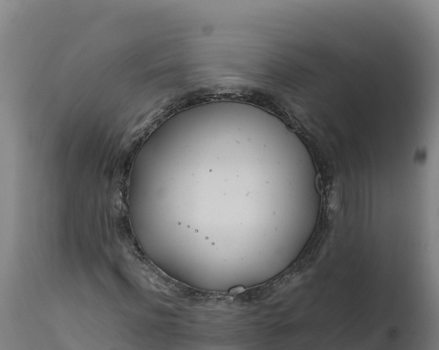 X0000112400916200908281746