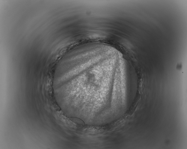 X0000112400917200908281746