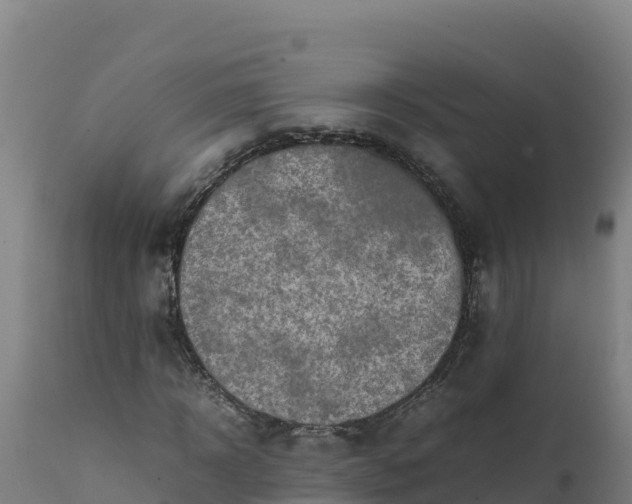 X0000112400918200908281746
