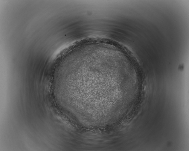 X0000112400919200908281746