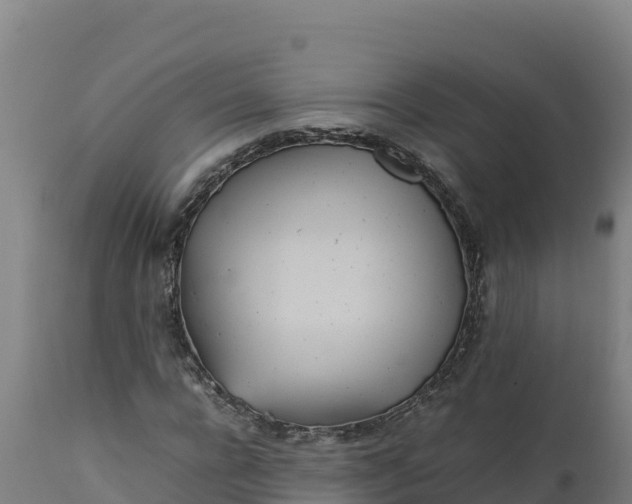 X0000112400920200908281746