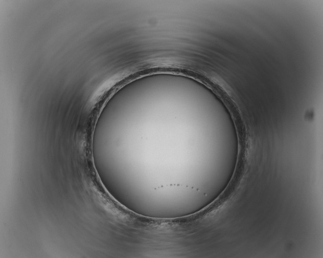 X0000112400922200908281746