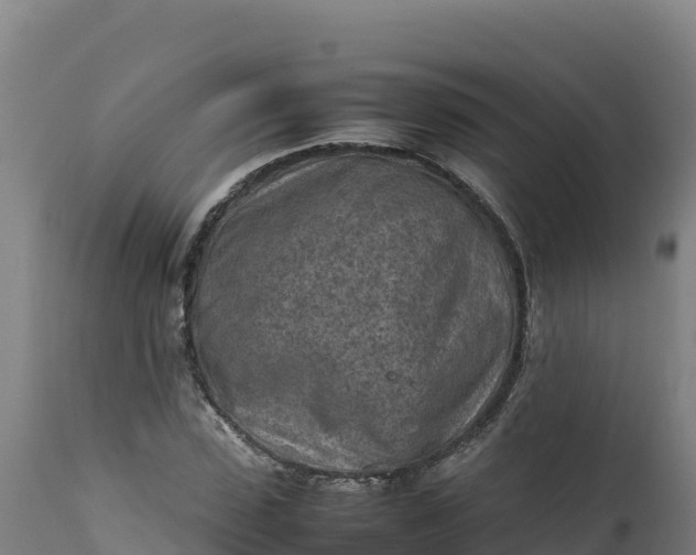 X0000112400923200908281746