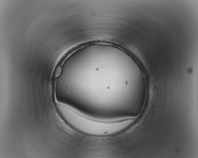 X0000112400924200908281746