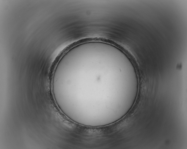 X0000112400927200908281747